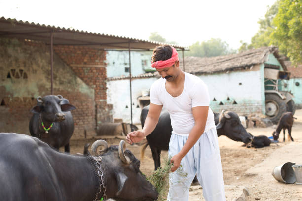 Yadav Ko Kabu Mein Kaise Karen