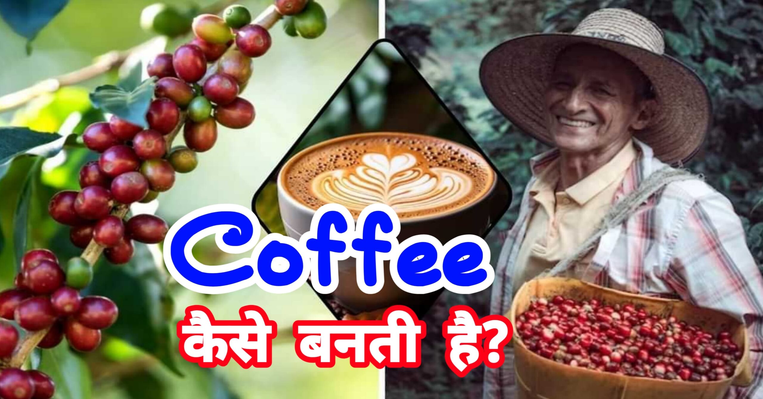 Coffee Kaise Banti Hai