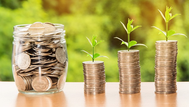 How Can You Stay Safe From Financial Frauds