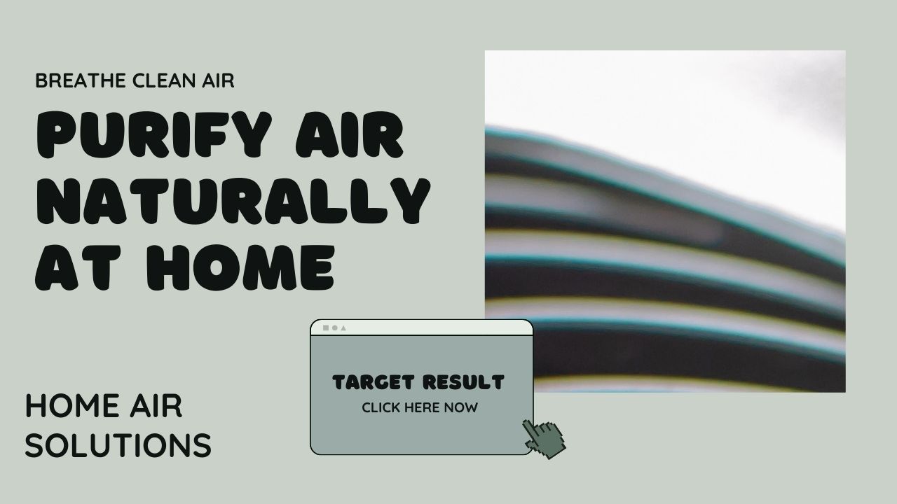 How Can I Purify Air Naturally At Home